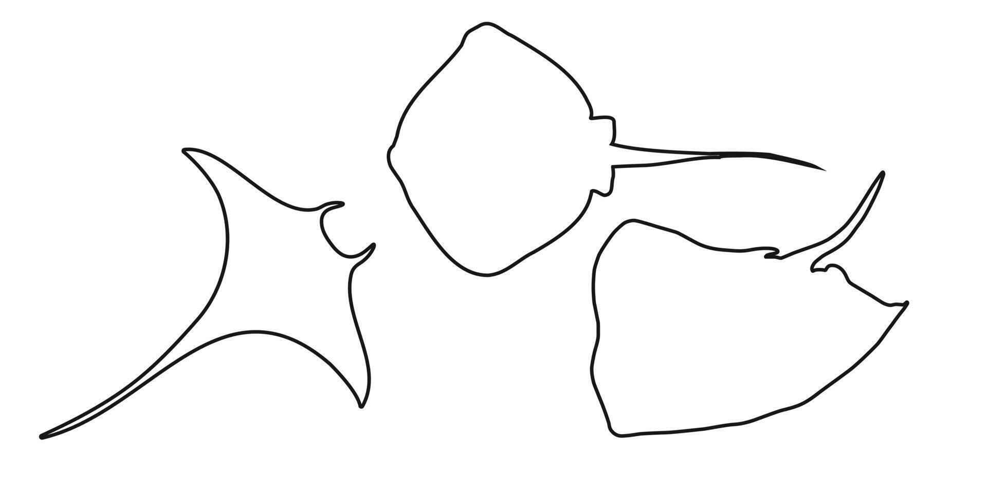 Set black outline stingray, manta ray or devilfish sign icon on white background. Clipart illustration vector