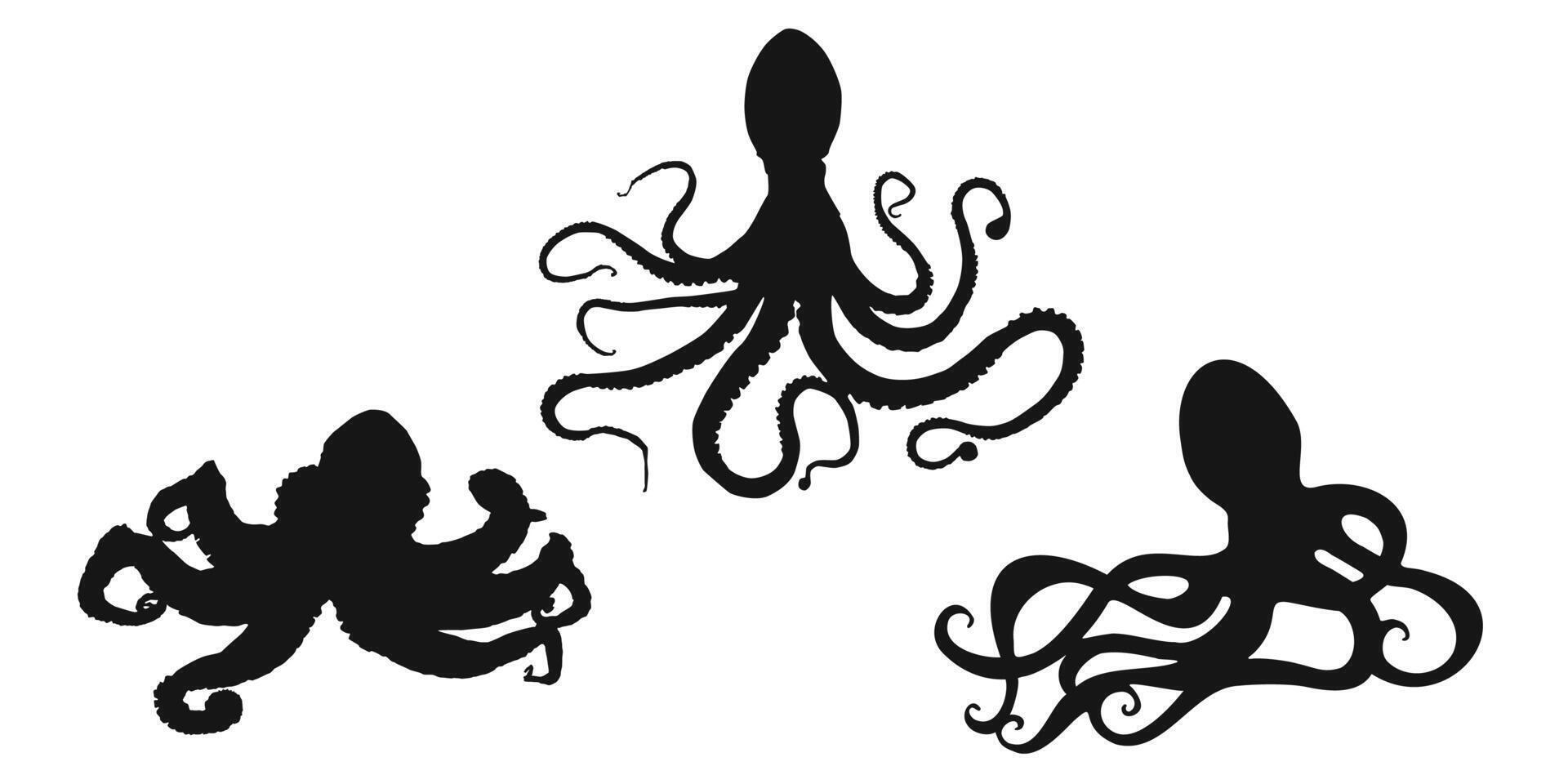 Set black octopus, devilfish or poulpe sign icon on white background. Clipart illustration vector