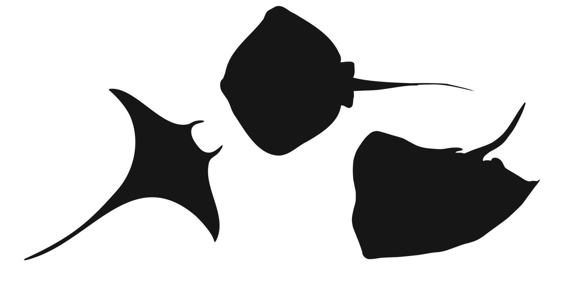 Set black stingray, manta ray or devilfish sign icon on white background. Clipart illustration vector