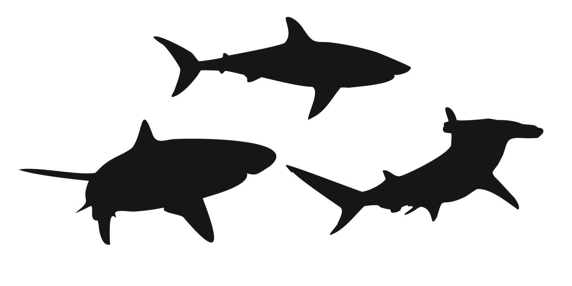 Set black shark sign icon on white background. Clipart illustration vector