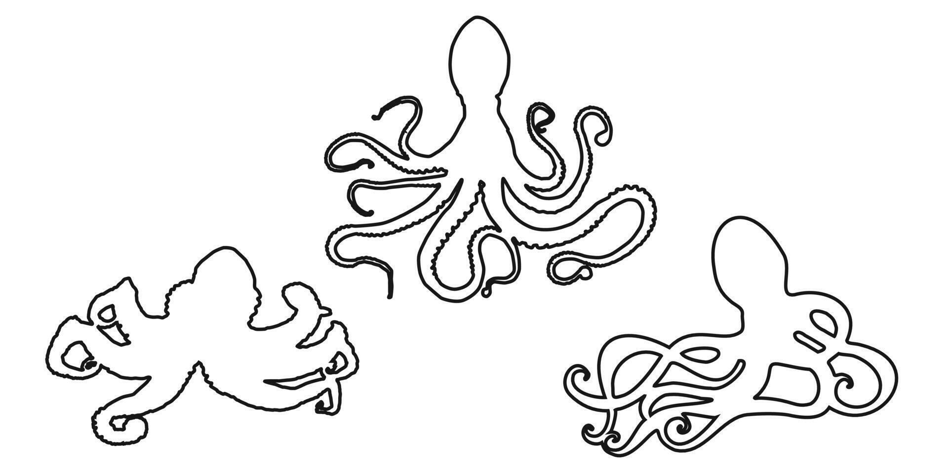 Set black outline octopus, devilfish or poulpe sign icon on white background. Clipart illustration vector
