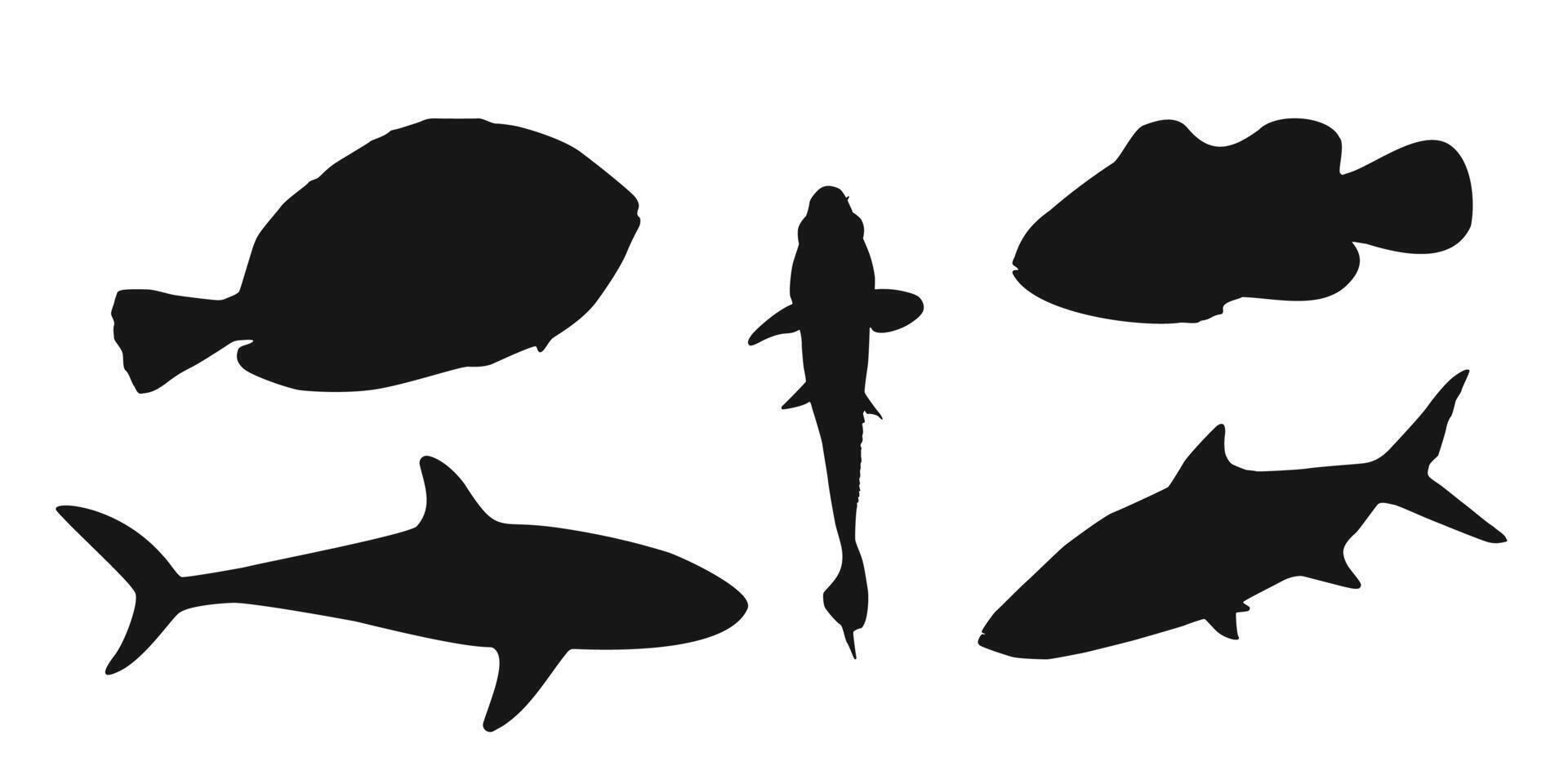 Set black silhouette clownfish, sardine, goldfish and surgeonfish sign icon on white background. Clipart illustration vector