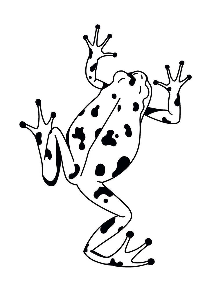 Leaping Spotted Frog Dynamic Pose vector