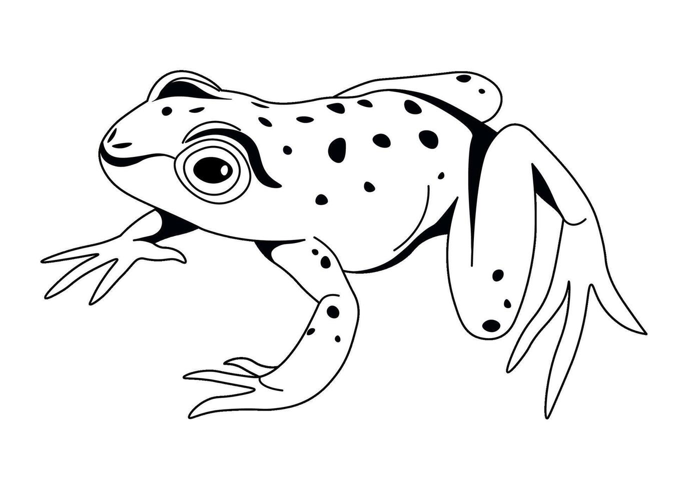 Spotted Frog in Natural Sitting Pose vector