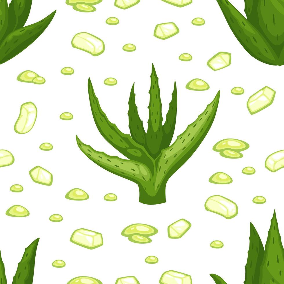 Aloe vera plant, leaves seamless pattern print vector