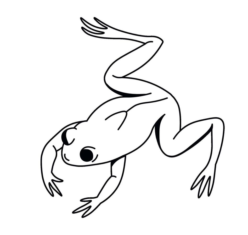 Dynamic Frog Leap Illustration vector