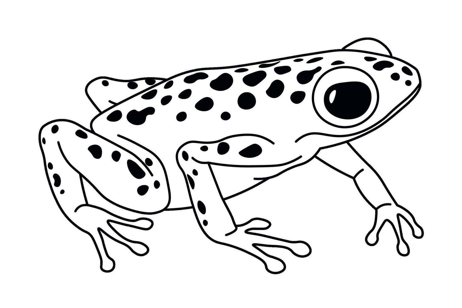 Alert Spotted Frog Looking Forward vector