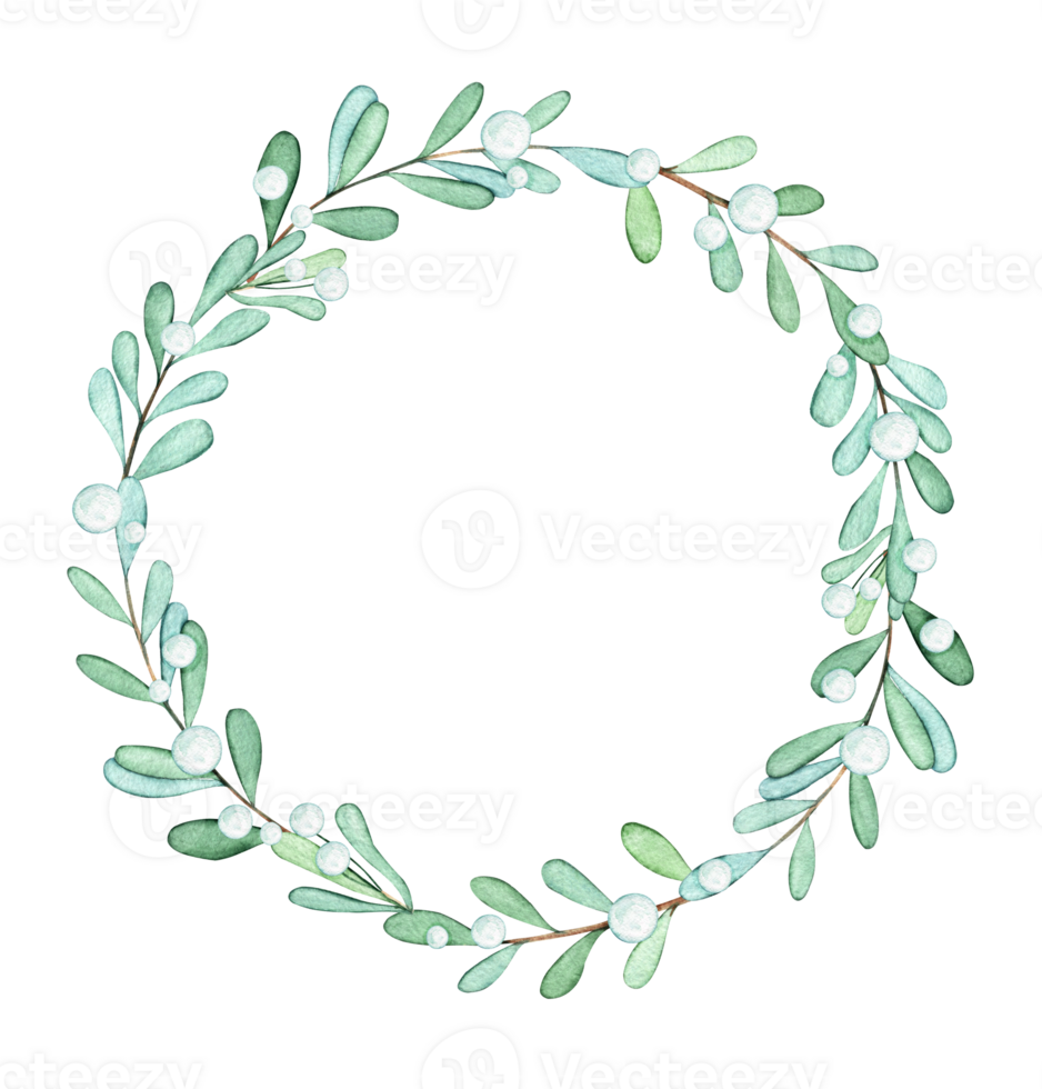 Watercolor mistletoe wreath isolated. Christmas hand drawn frame illustration. Winter greenery png