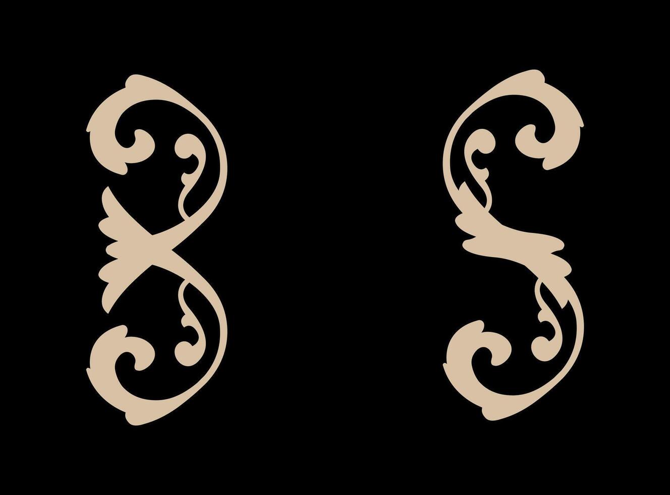 2 Ornaments collection in vintage style on black background vector