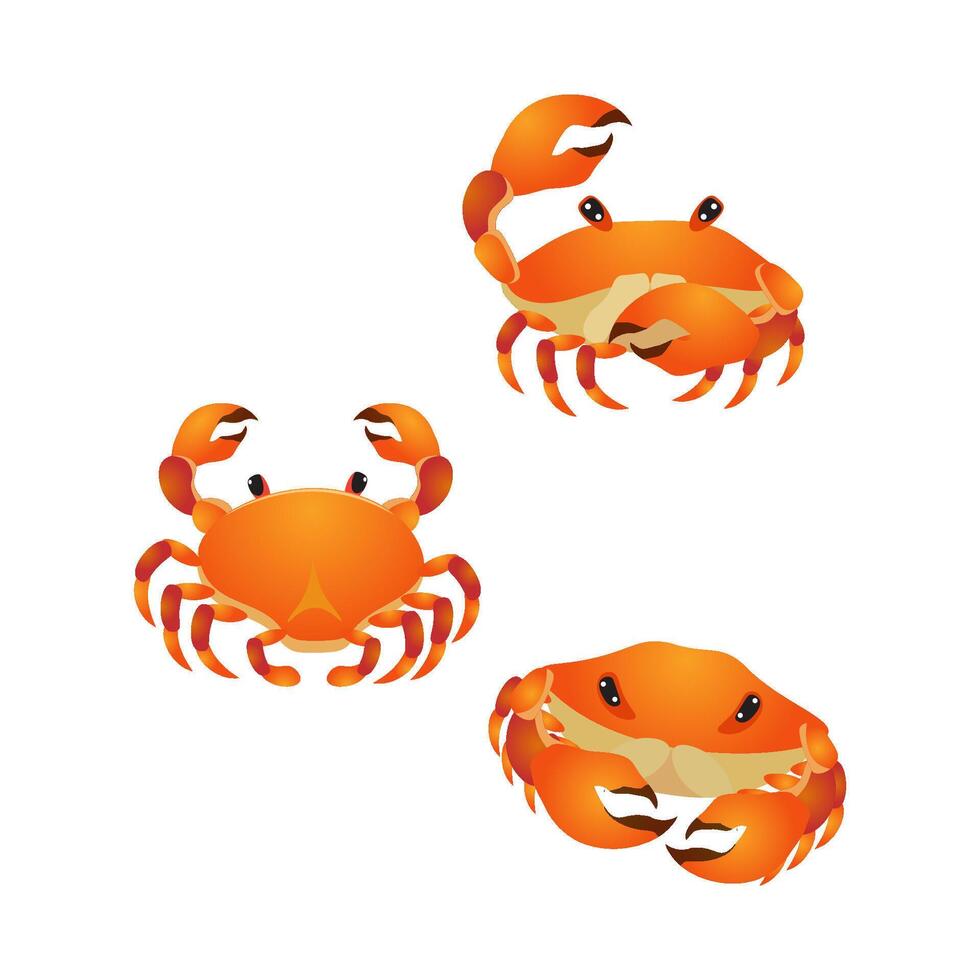A collection of cute crabs in various styles vector