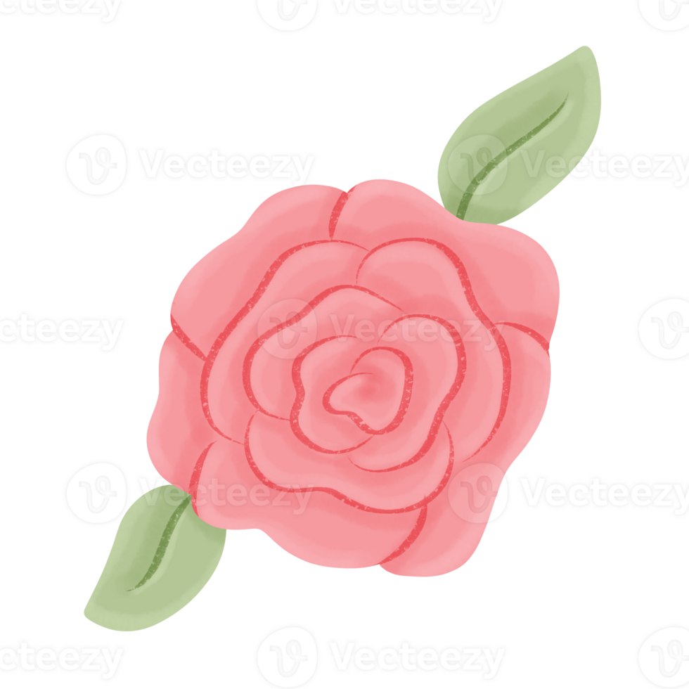 Red Rose Flower png