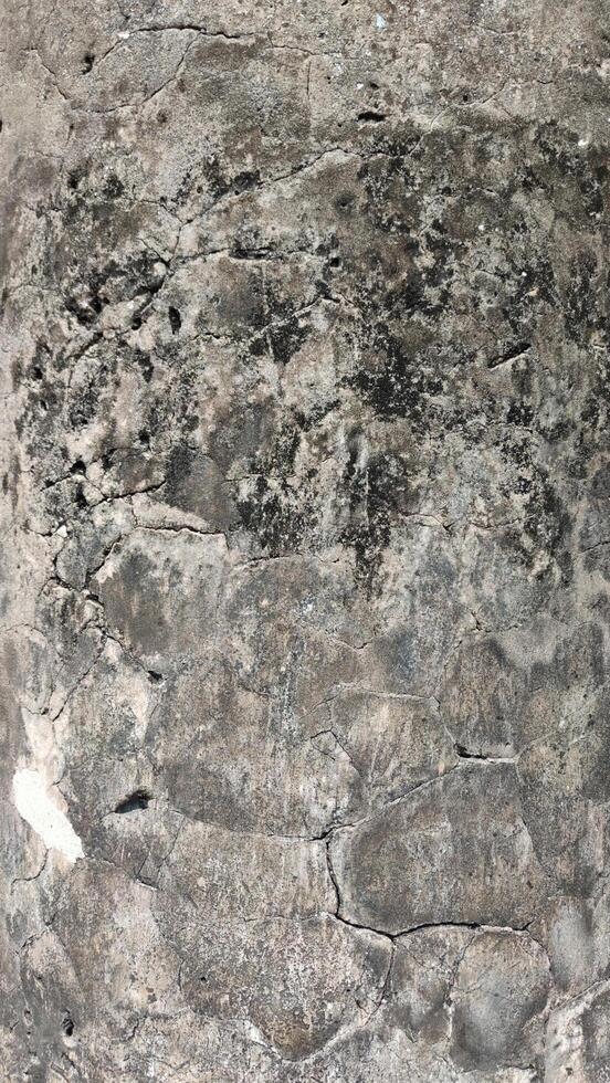 Textured stone wall with abstract patterns, grey and white hues. photo