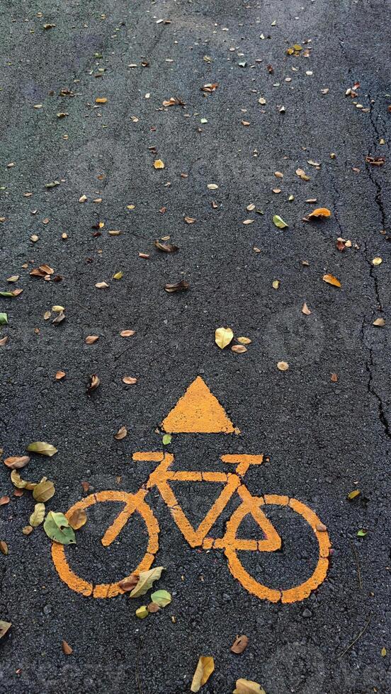 Bicycle symbol on pavement surrounded by autumn leaves, urban environment. photo