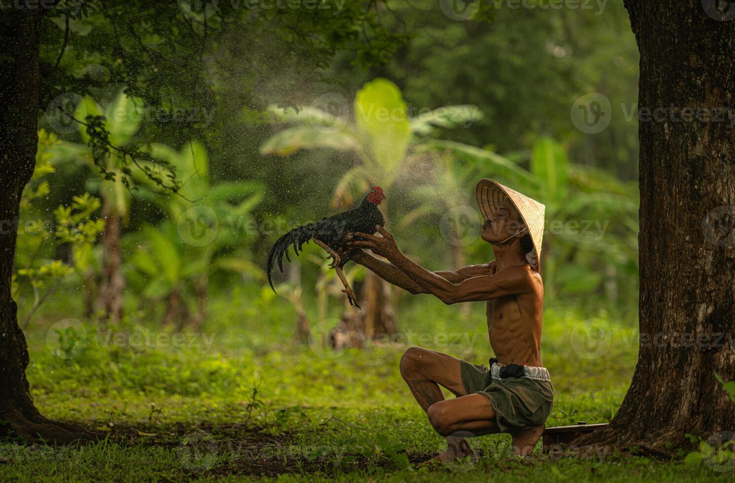 Countryside villagers practicing their cockfighting for competition photo