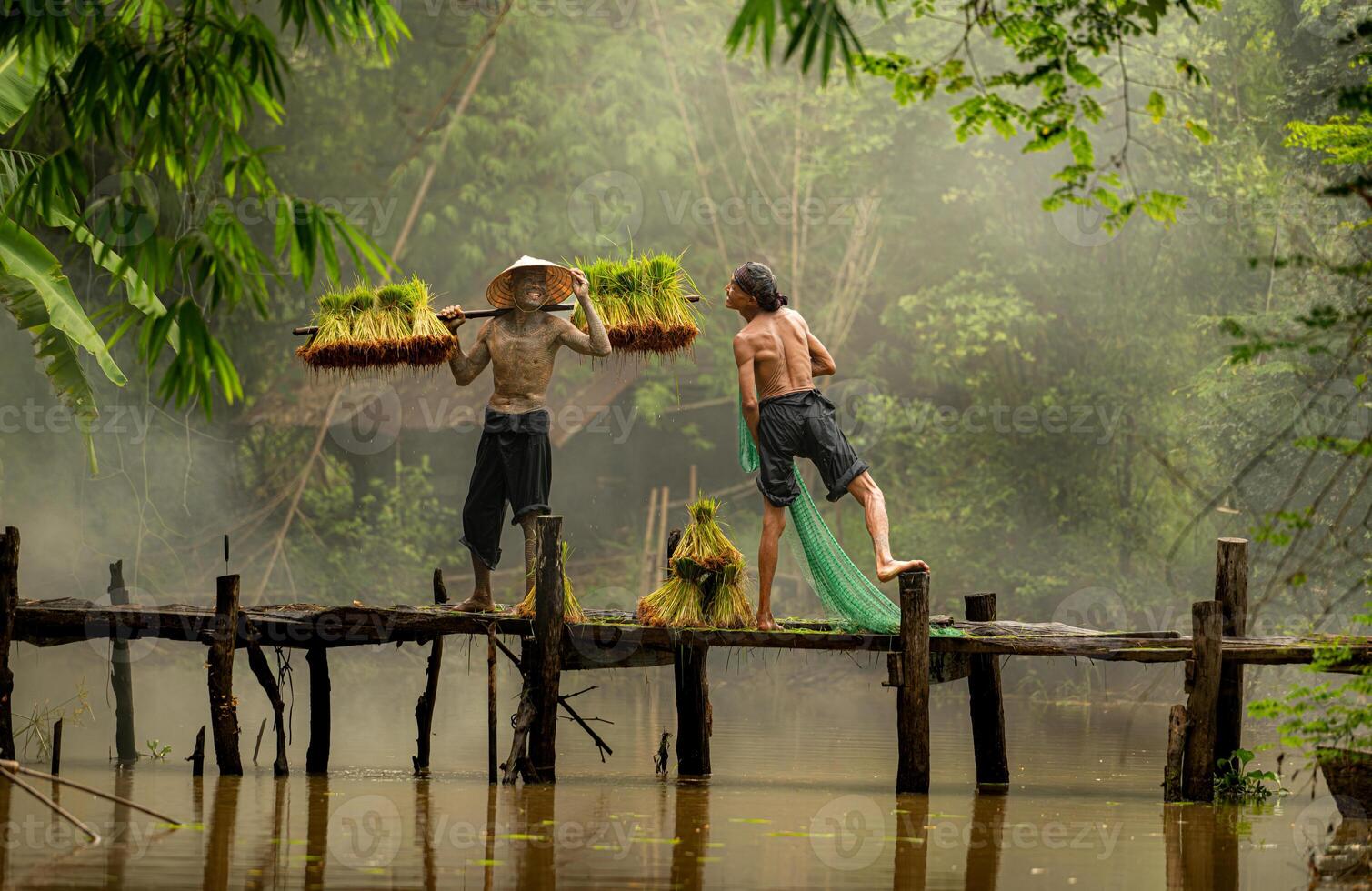 Farmers carry seedlings across the river on bridges and talk to the farmer who is using a fishnet to capture fish in the river photo