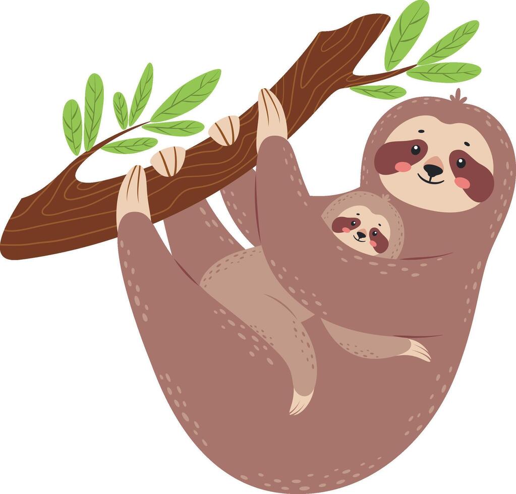 Cartoon illustration of mother sloth hanging upside down on a tree branch with her baby sloth clinging to her, showcasing the loving bond between parent and child in the wild vector