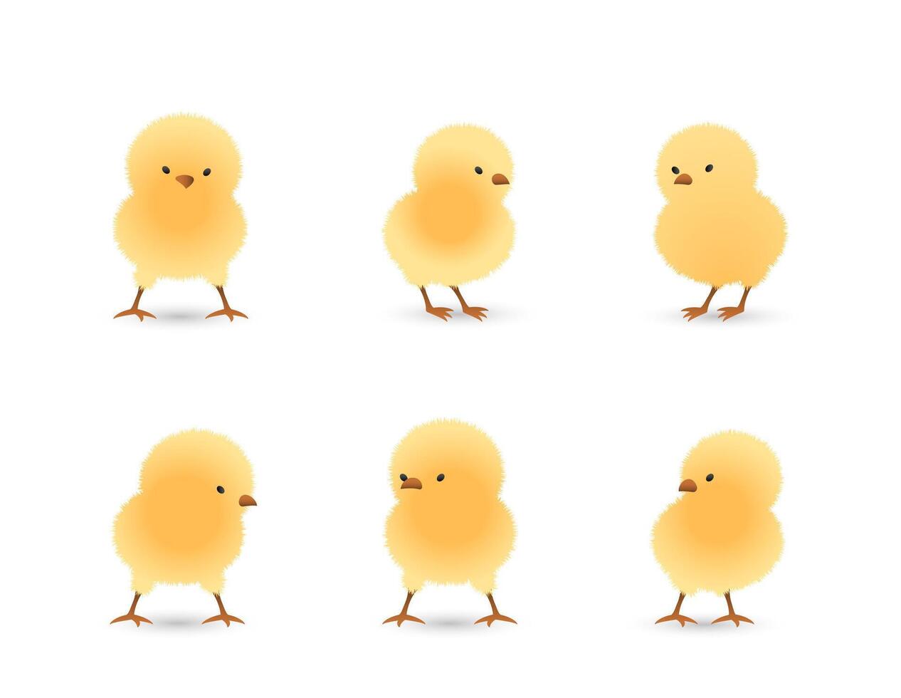 Chicks standing set vector
