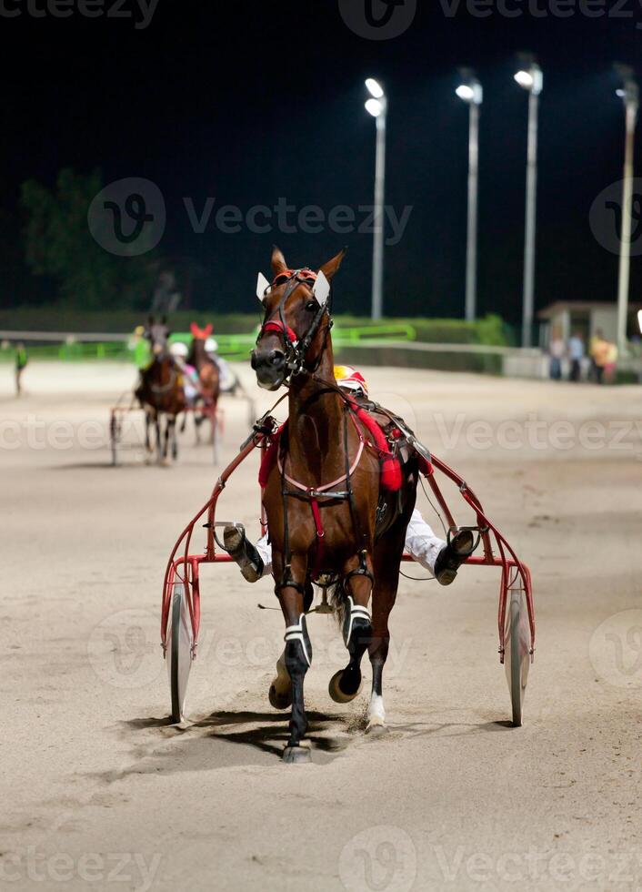 A horse pulling a cart on a track photo
