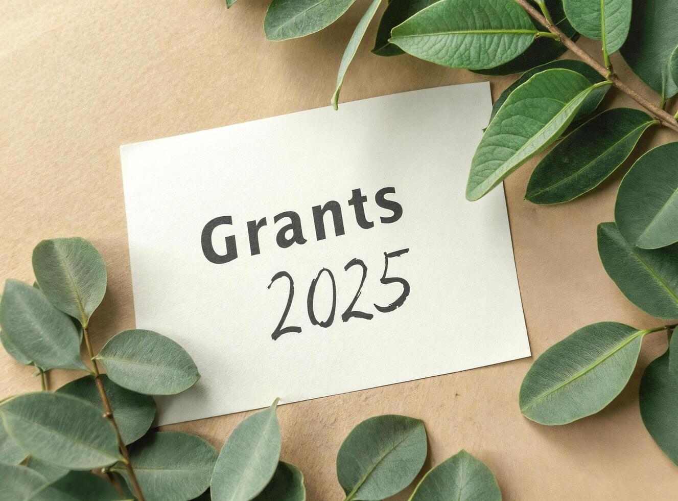 grants 2025 announcement photo