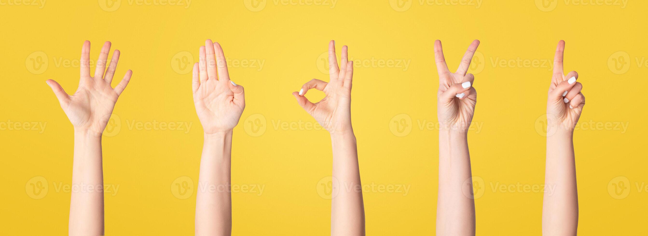 Collage with unrecognizable woman showing various gestures isolated on white, closeup. Panorama photo