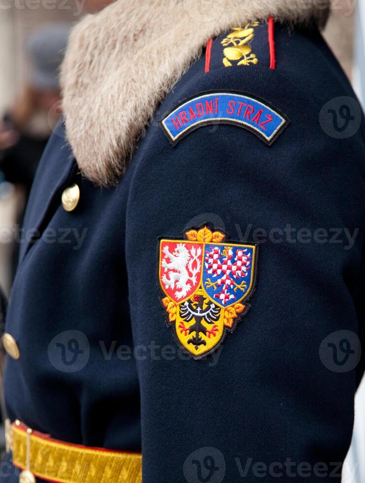 Hradni Straz is a formal military guard protecting the czech president. photo