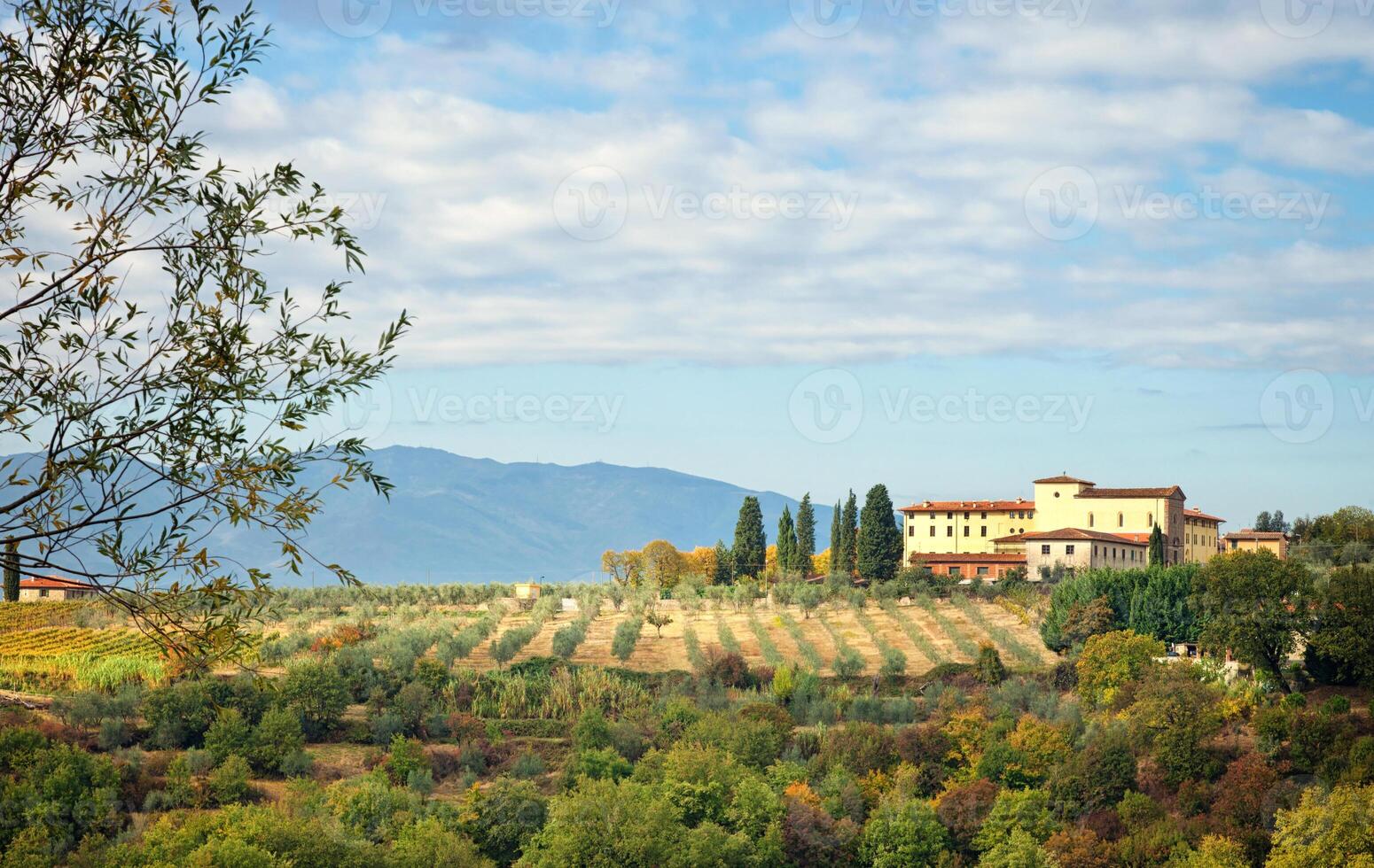 Typical Tuscan hill photo