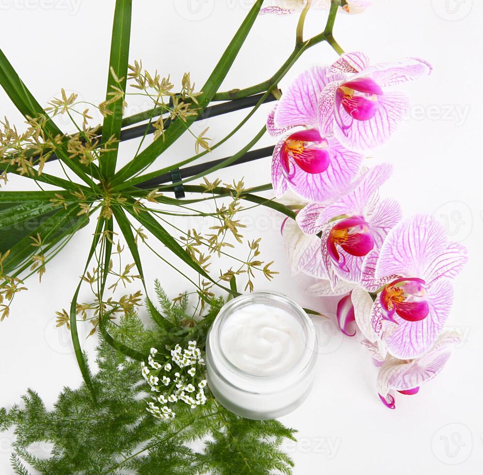 Face cream with herbs and pink orchids photo
