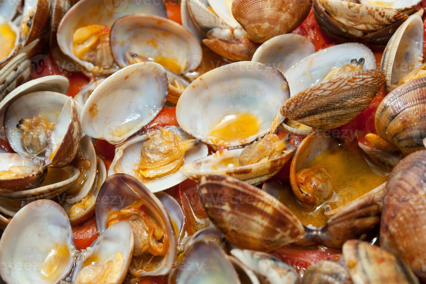 Clams in marinara sauce photo