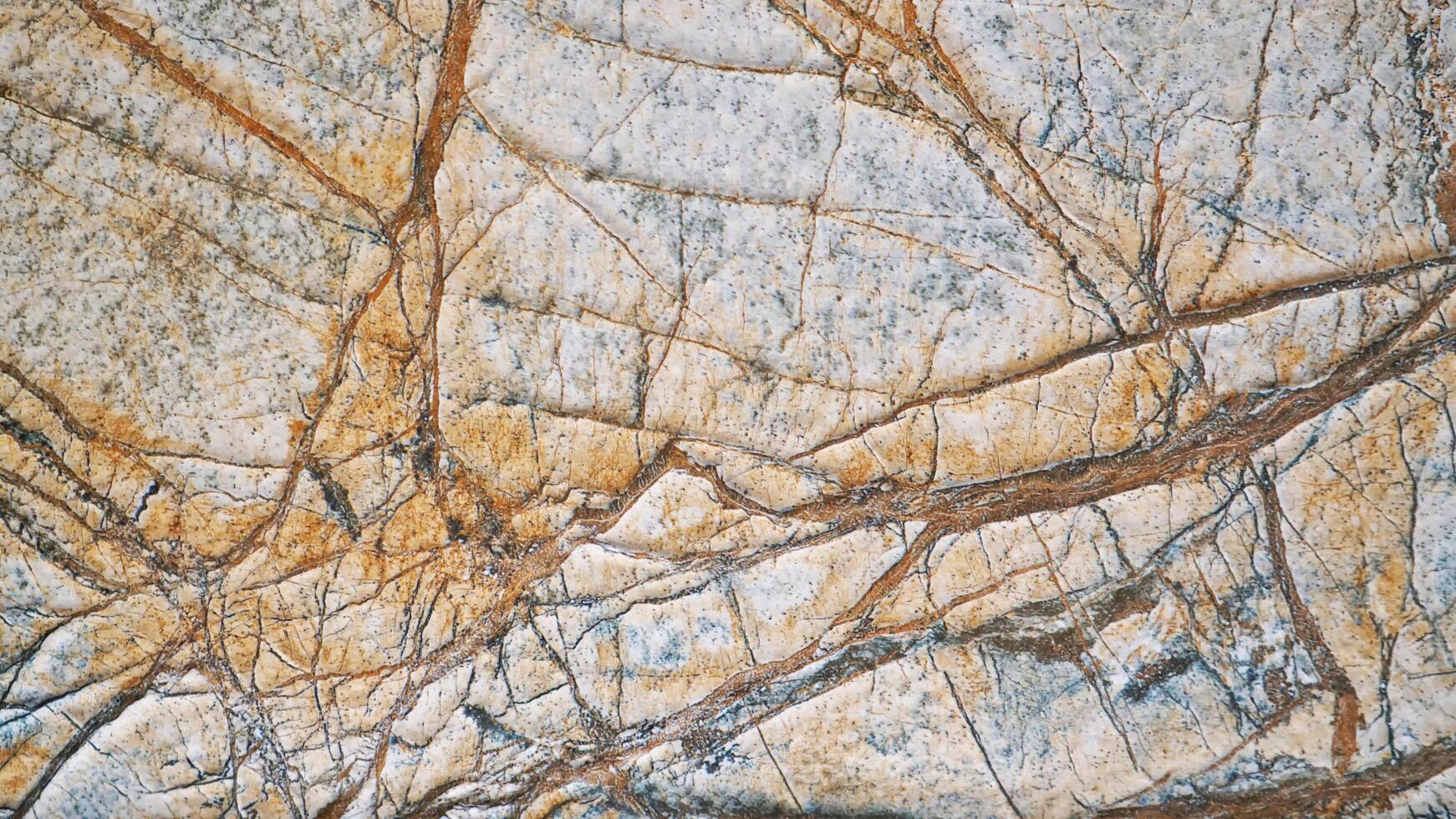 A close up of a marble wall with brown and white paint photo