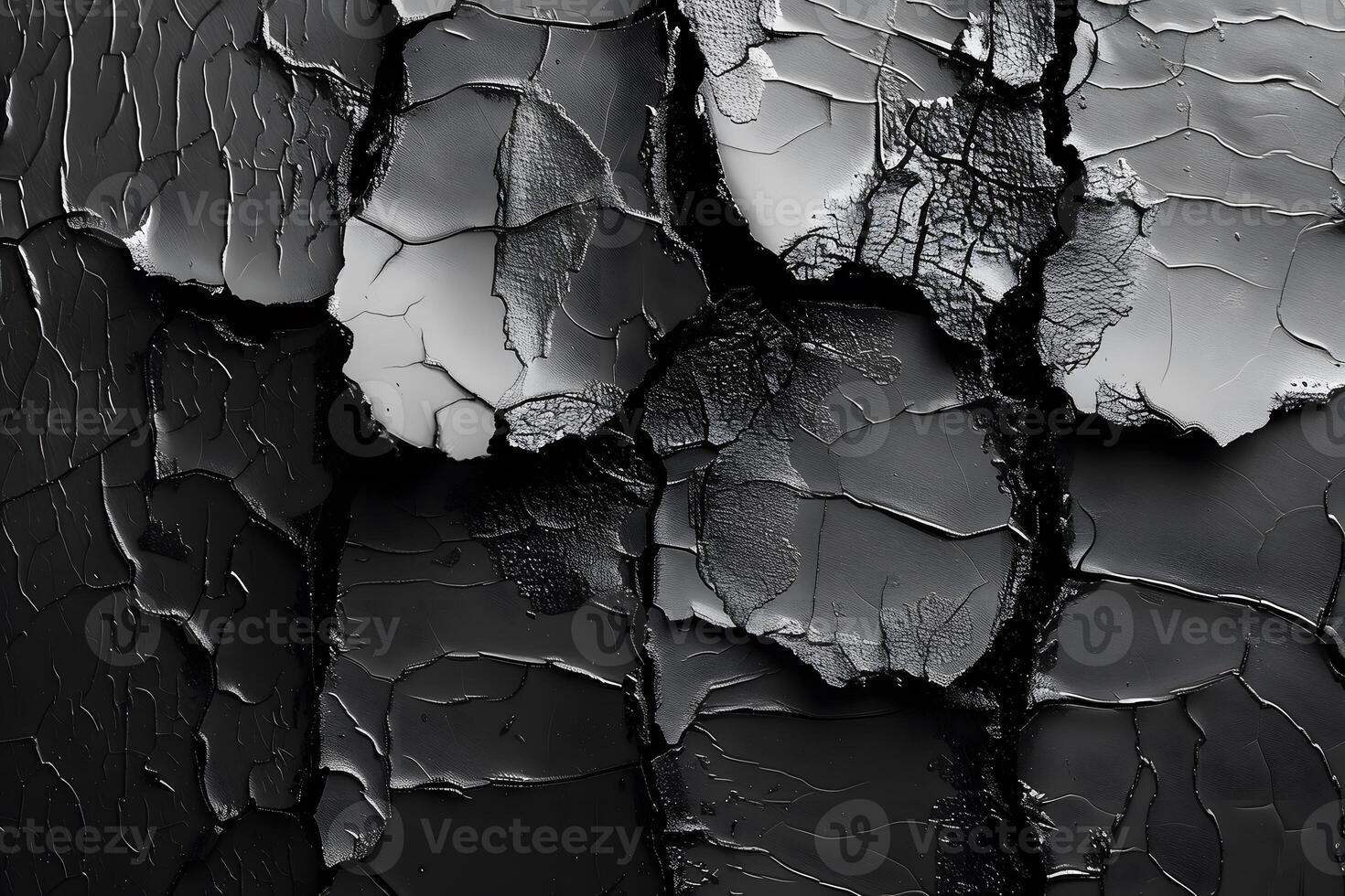 Abstract Textured Black and White Cracked Surface for Artistic Design photo