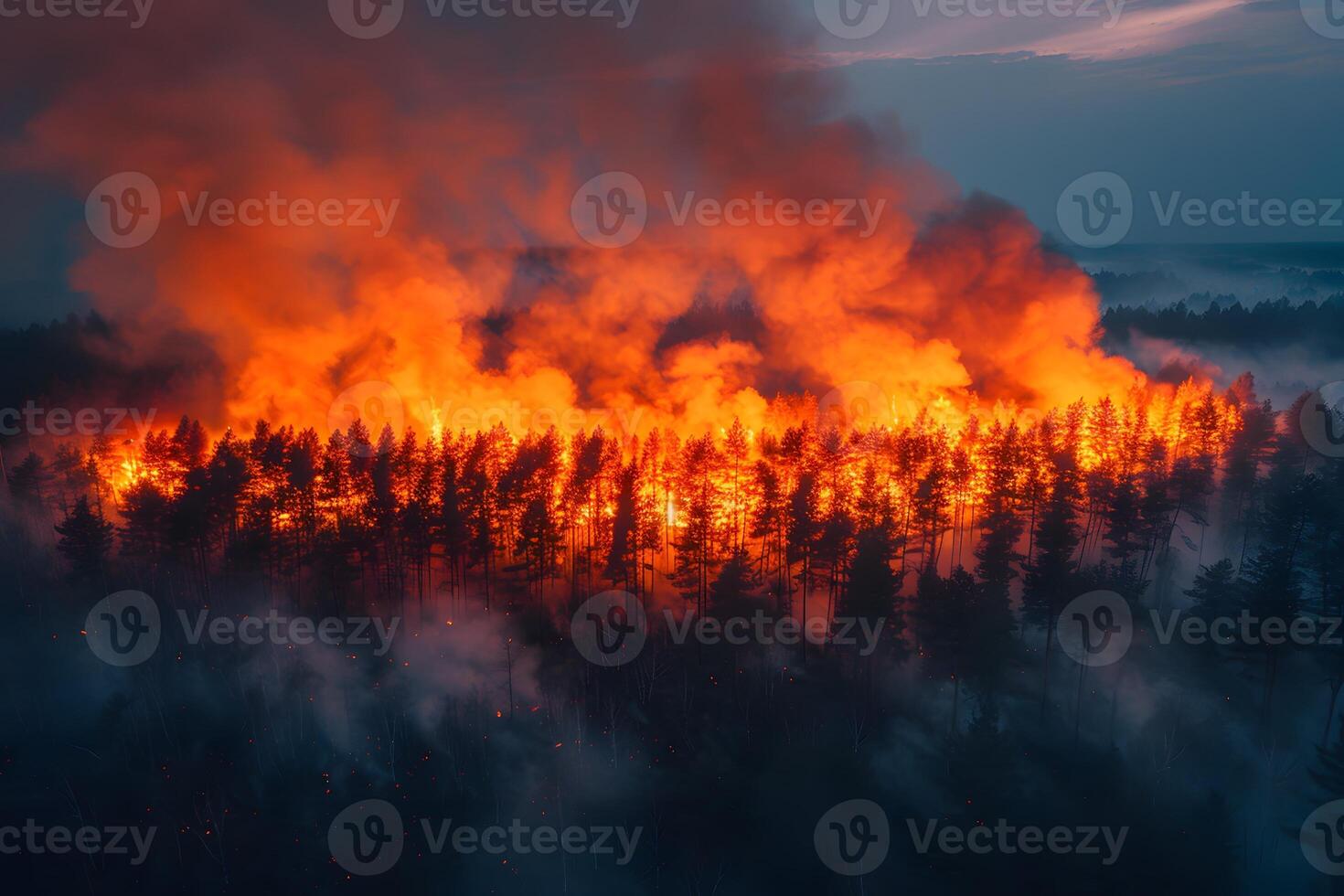 Intense Forest Fire in Dense Woodland at Twilight with Smoke Billowing photo