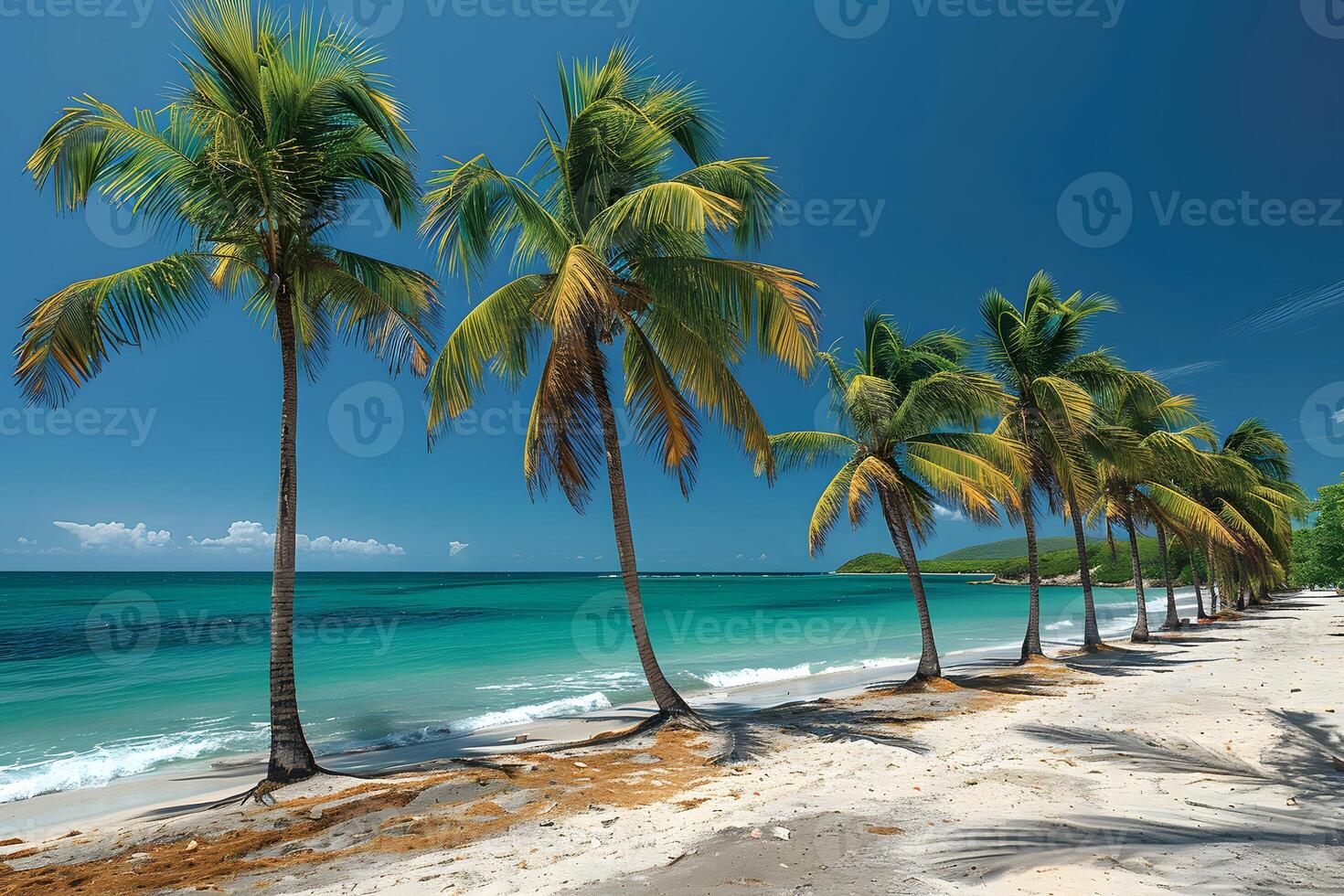 Tropical Beach Paradise with Palm Trees and Turquoise Waters photo