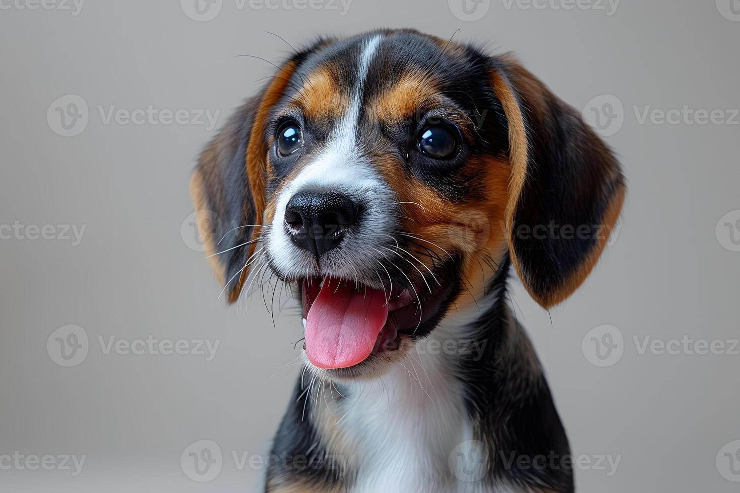 Adorable Beagle Puppy with Playful Expression for Pet Photography and Posters photo