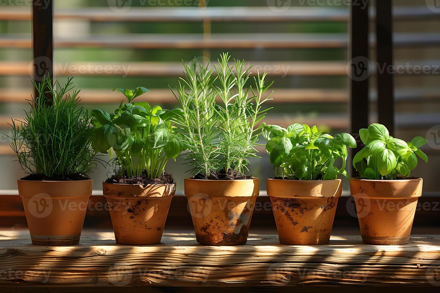 Herb Garden in Terracotta Pots Basil, Rosemary, and More for Indoor Decor and Cooking photo