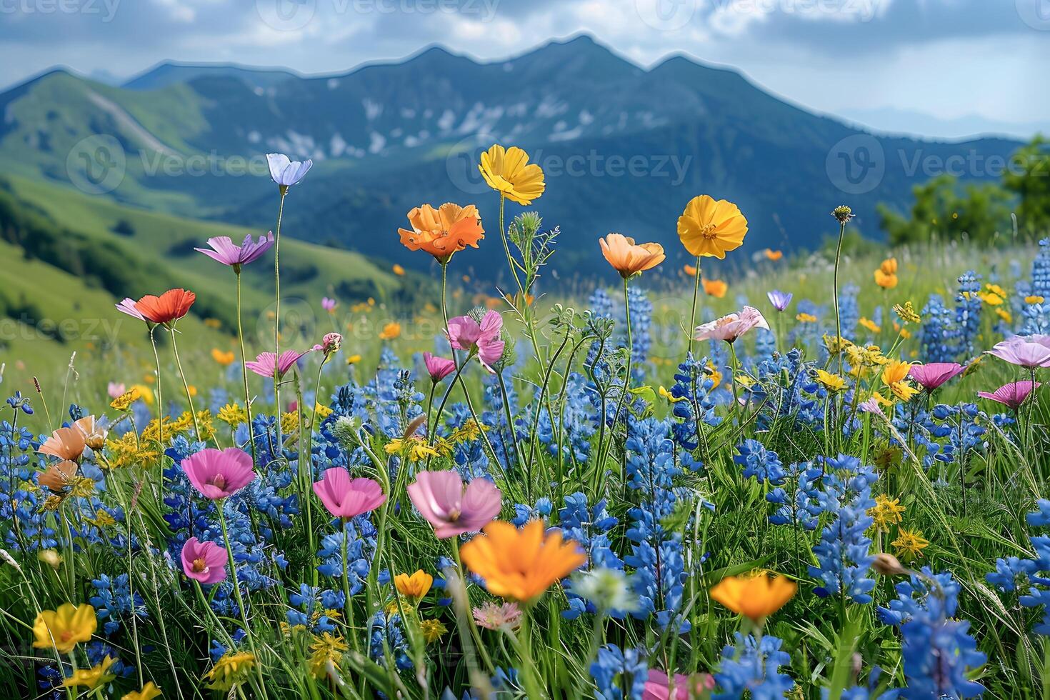 Vibrant Wildflowers Blooming in Mountain Landscape - Nature's Summer Canvas photo