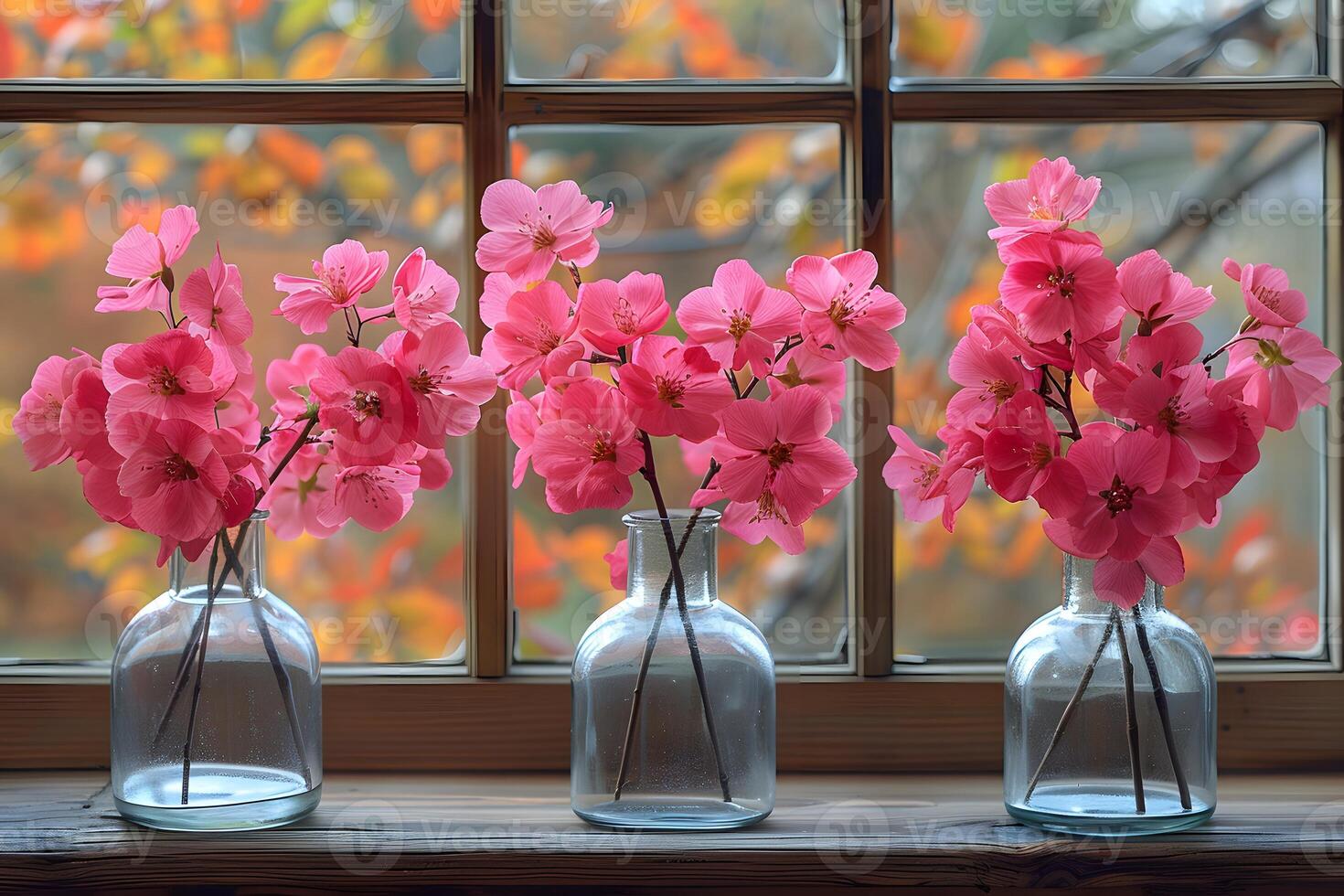 Pink Dogwood Flowers in Glass Vases by Autumn Window for Home Decor and Design photo