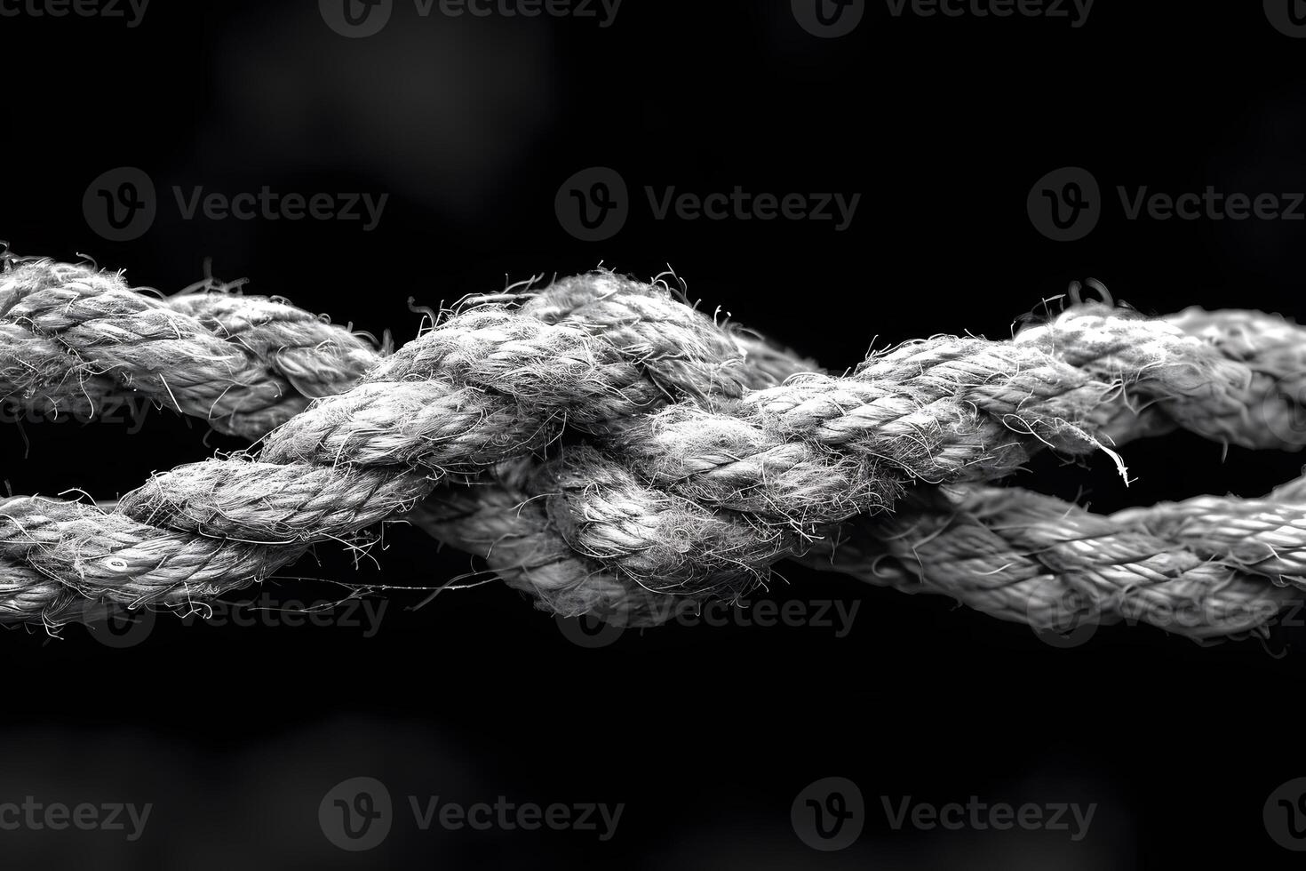 Intricate Textured Rope Knot in Black and White for Nautical and Strength Concepts photo