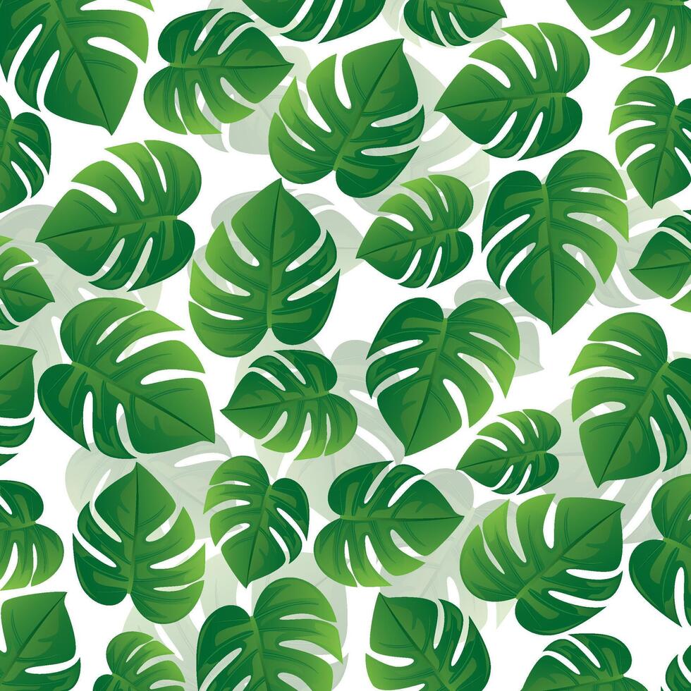 A seamless pattern with green monstera leaves vector