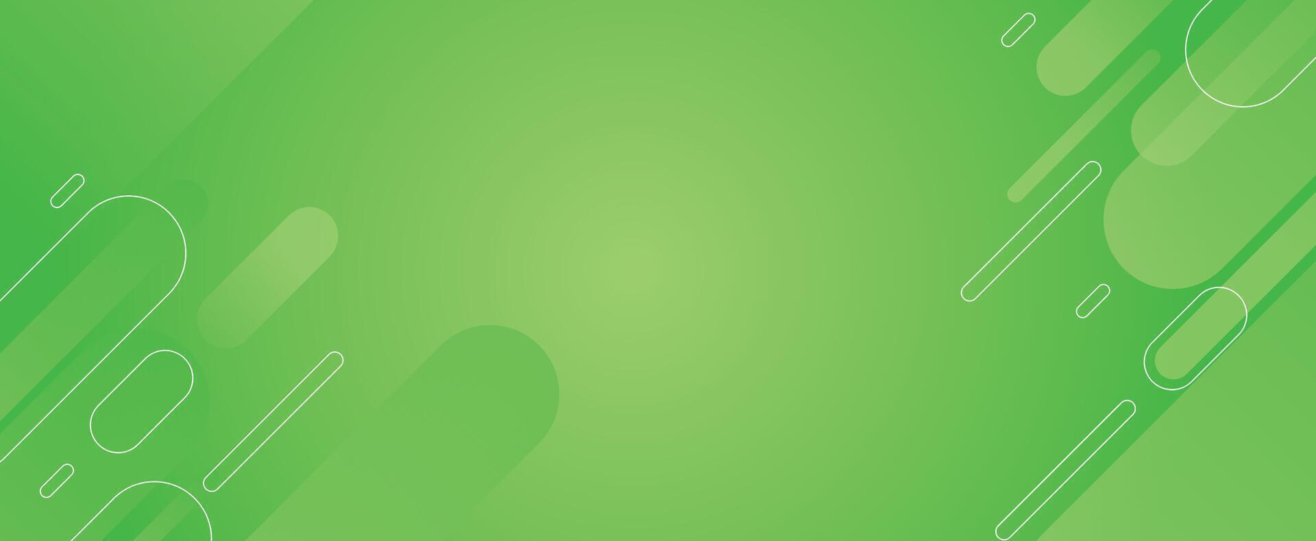Green abstract background with white lines vector