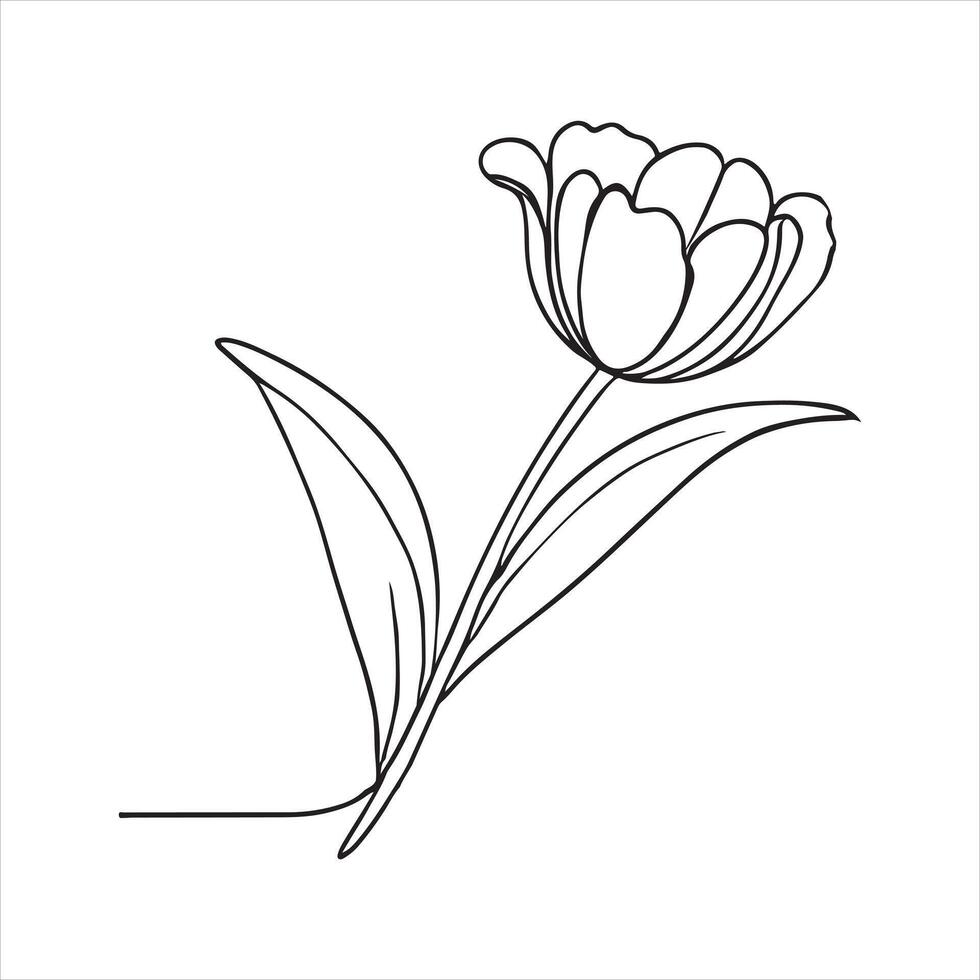 tulip flower,flower line art silhouette white background vector