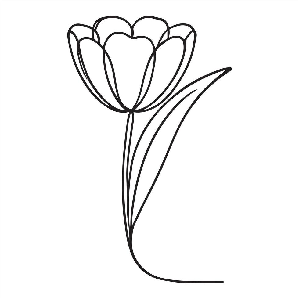 tulip flower,flower line art black silhouette on white background vector