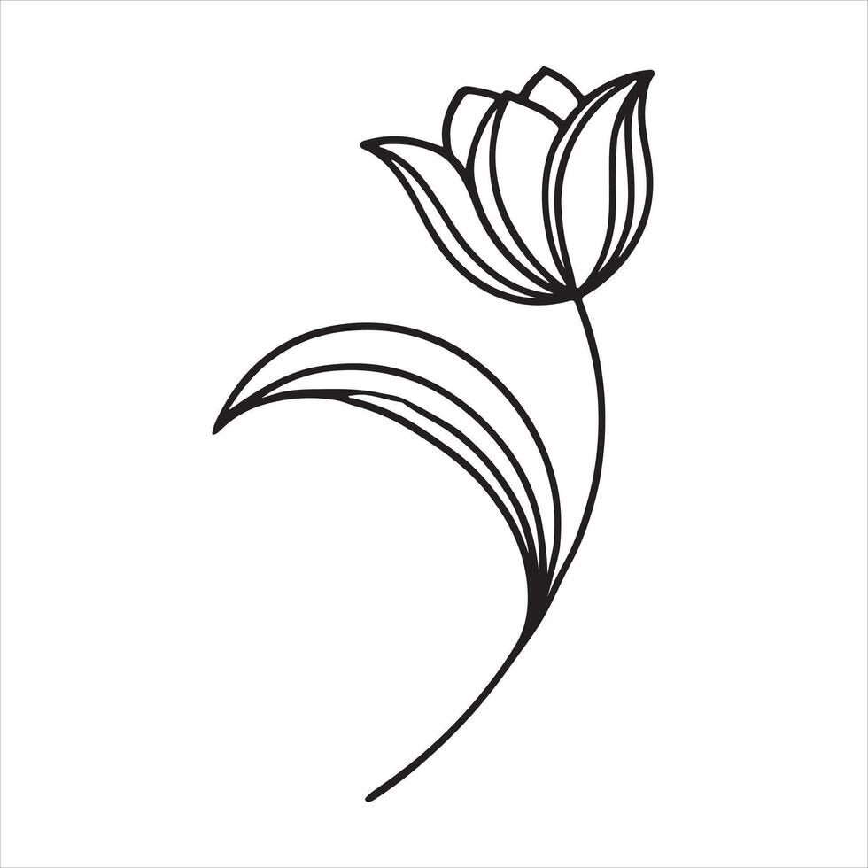 tulip flower,flower line art silhouette on white background vector
