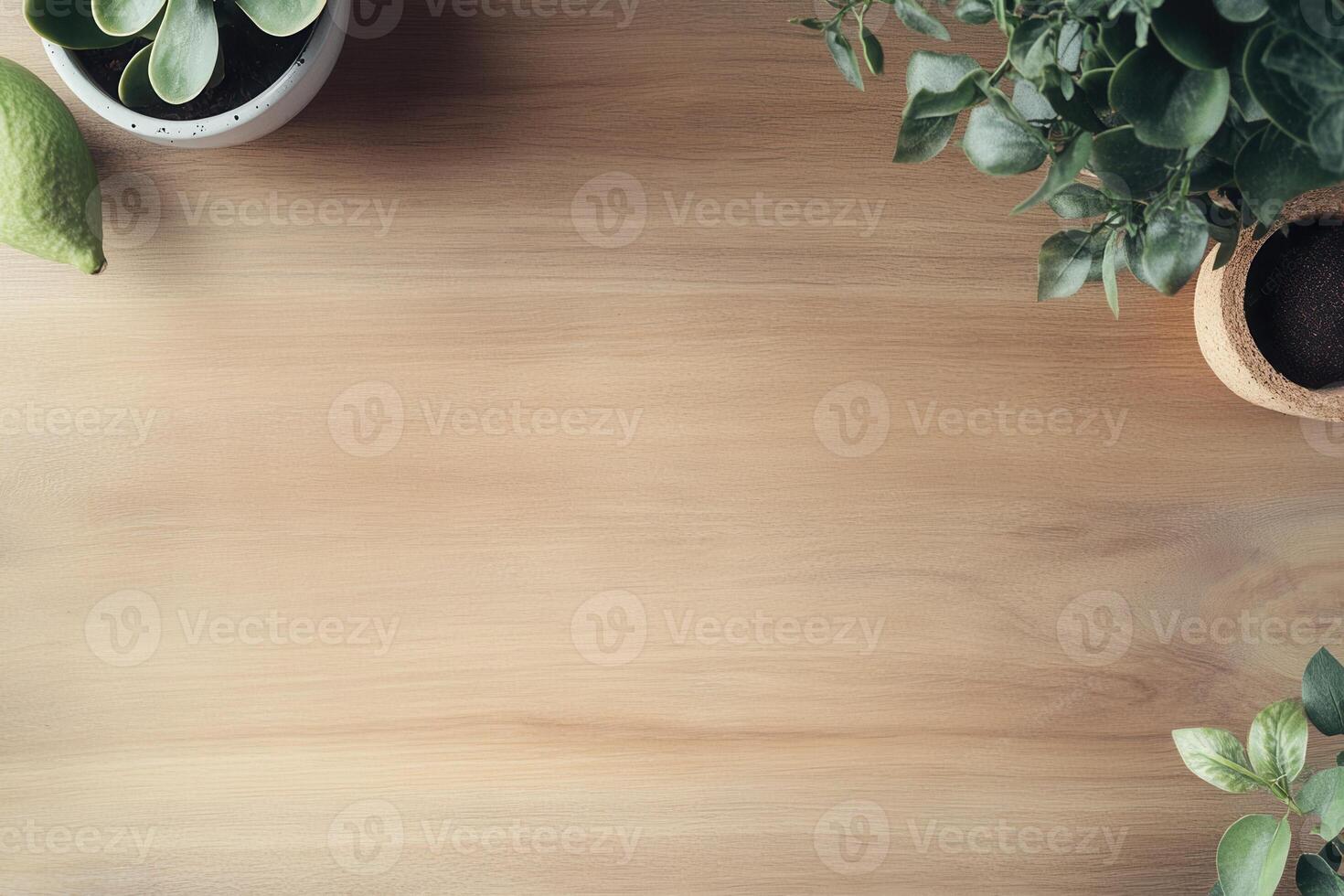 A serene wooden surface with potted plants and a lime. photo
