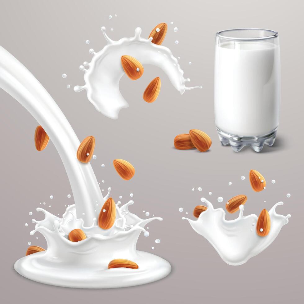 Almond milk set isolated on grey background vector