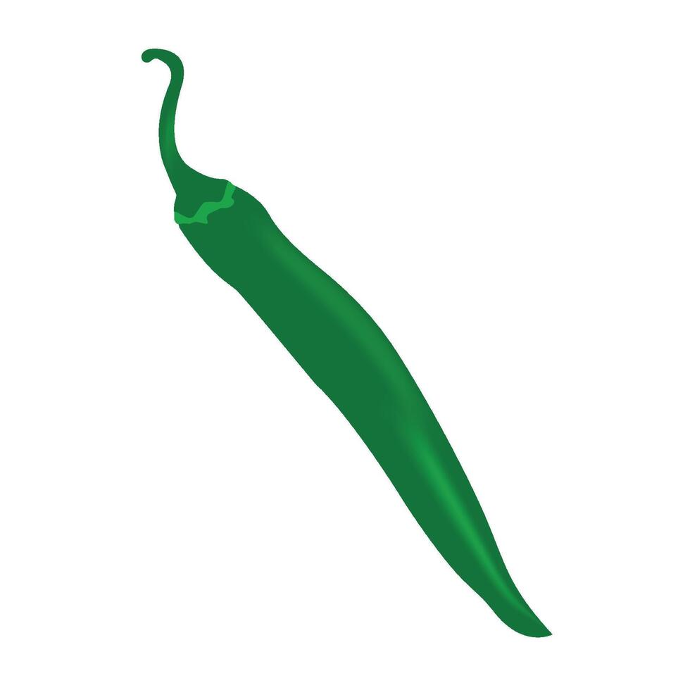 Chili pepper art. vector