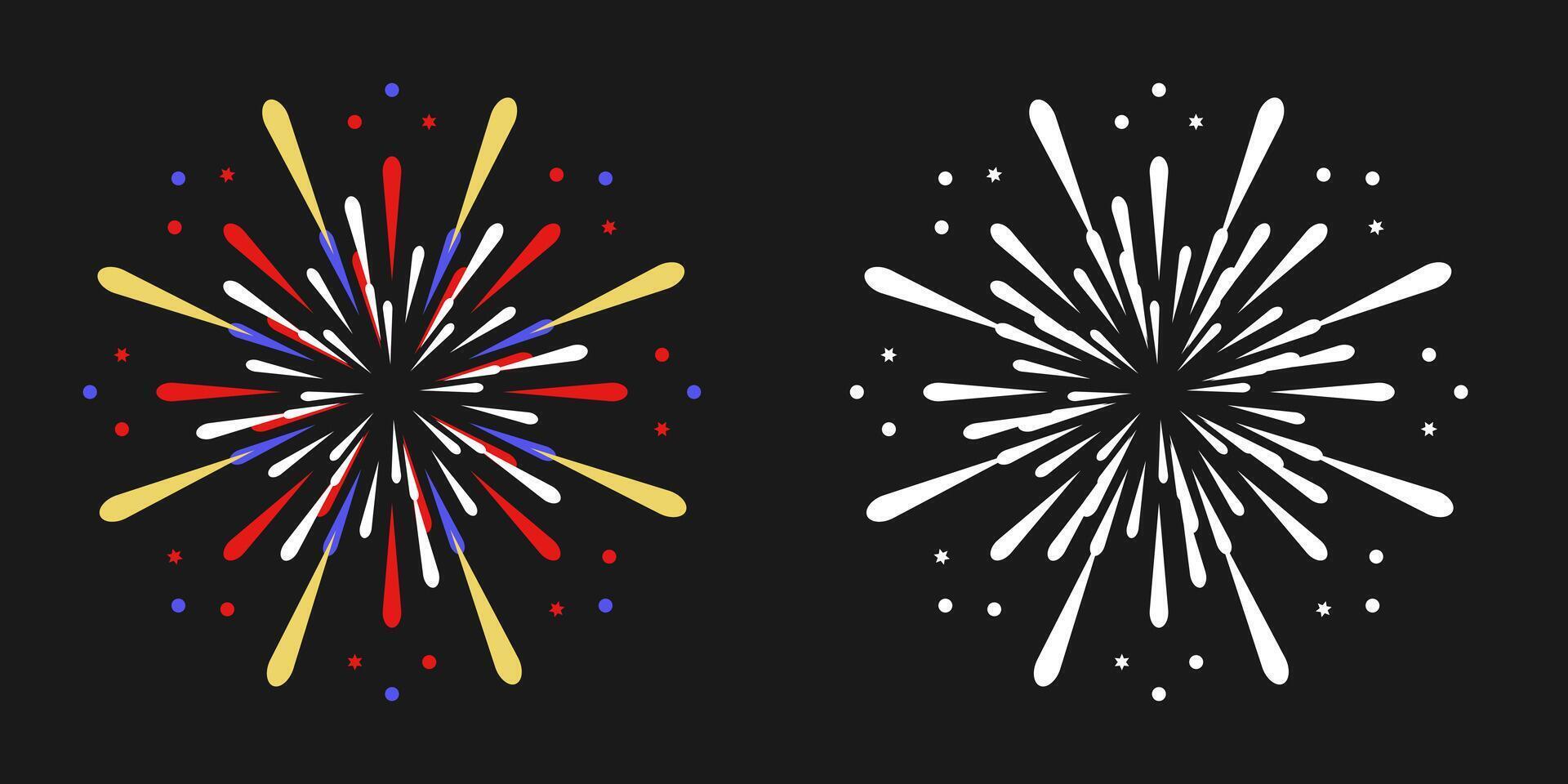 fireworks on the black background vector