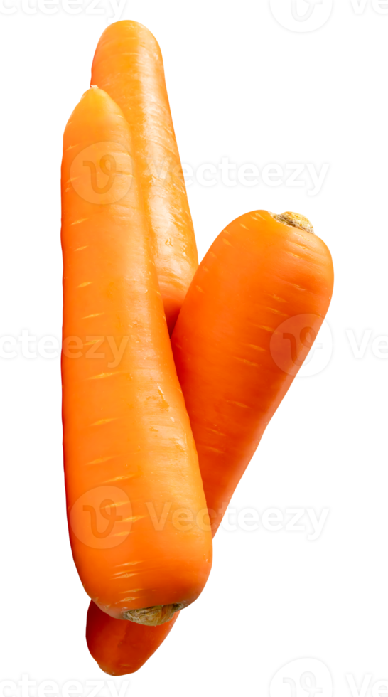 Three fresh orange carrot roots in stack isolated with clipping path in file format png