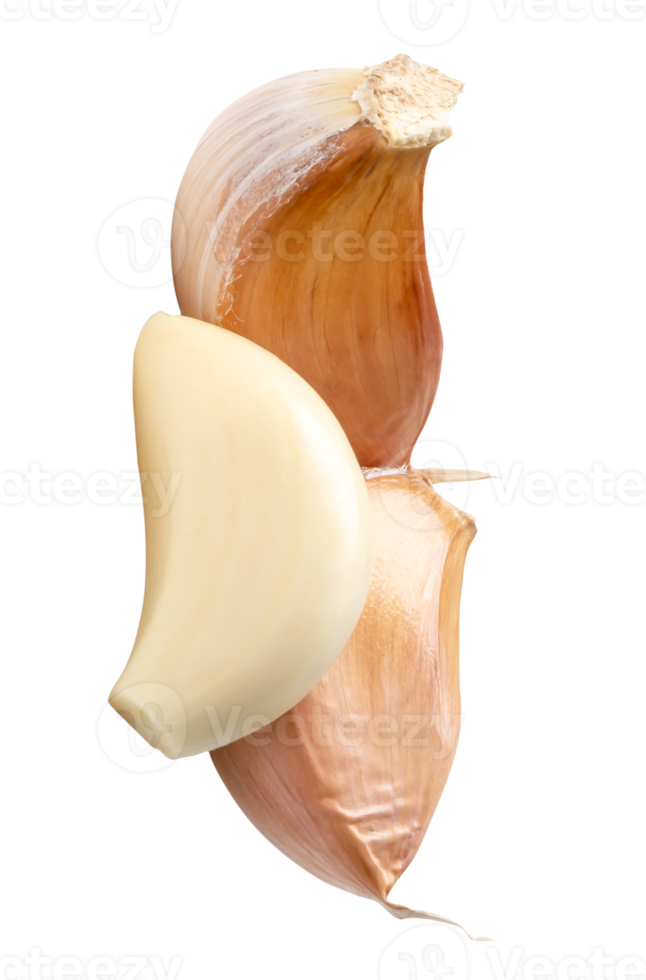 Peeled garlic cloves in stack isolated with clipping path in file format png