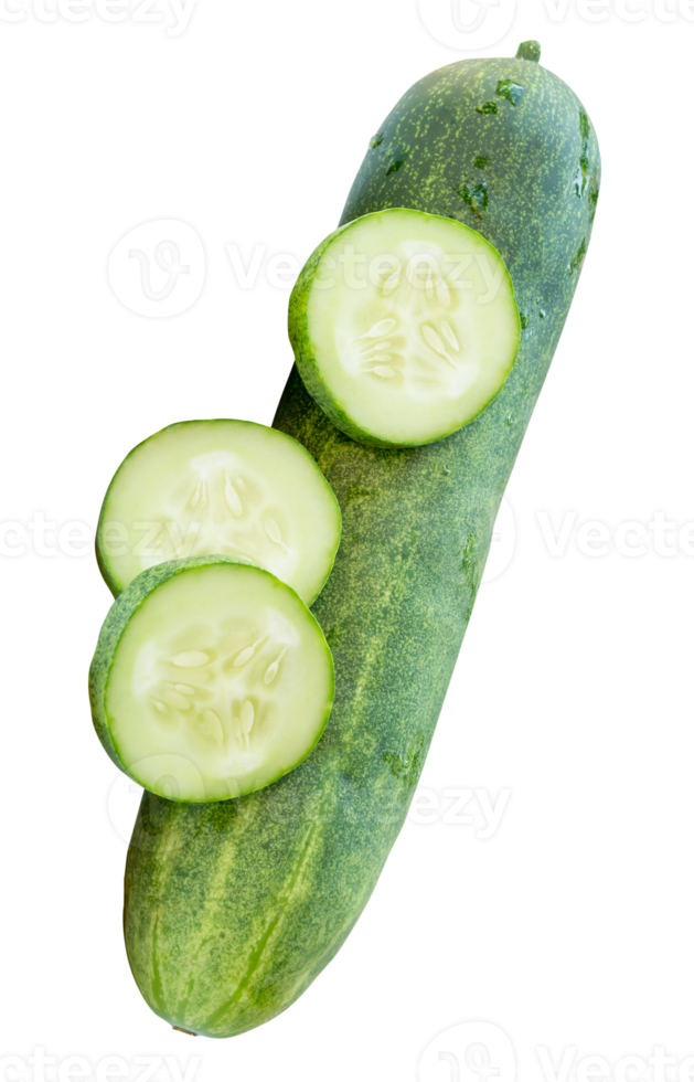 Side view of fresh green cucumber with slices in circle shape in stack isolated in file format png