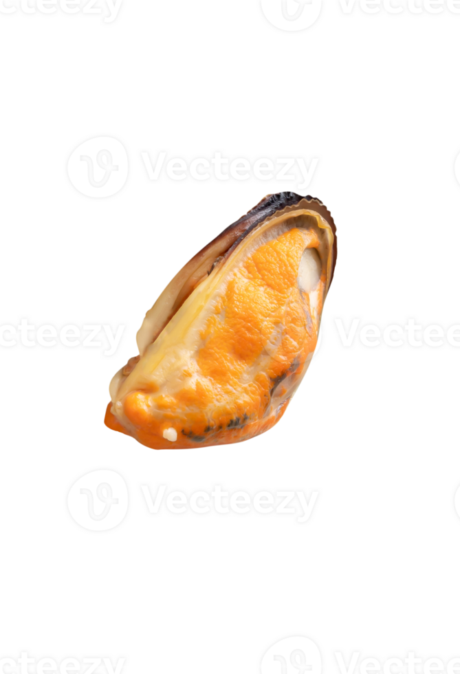 Top view of steamed or cooked delicious green mussel meat isolated with clipping path in file format png